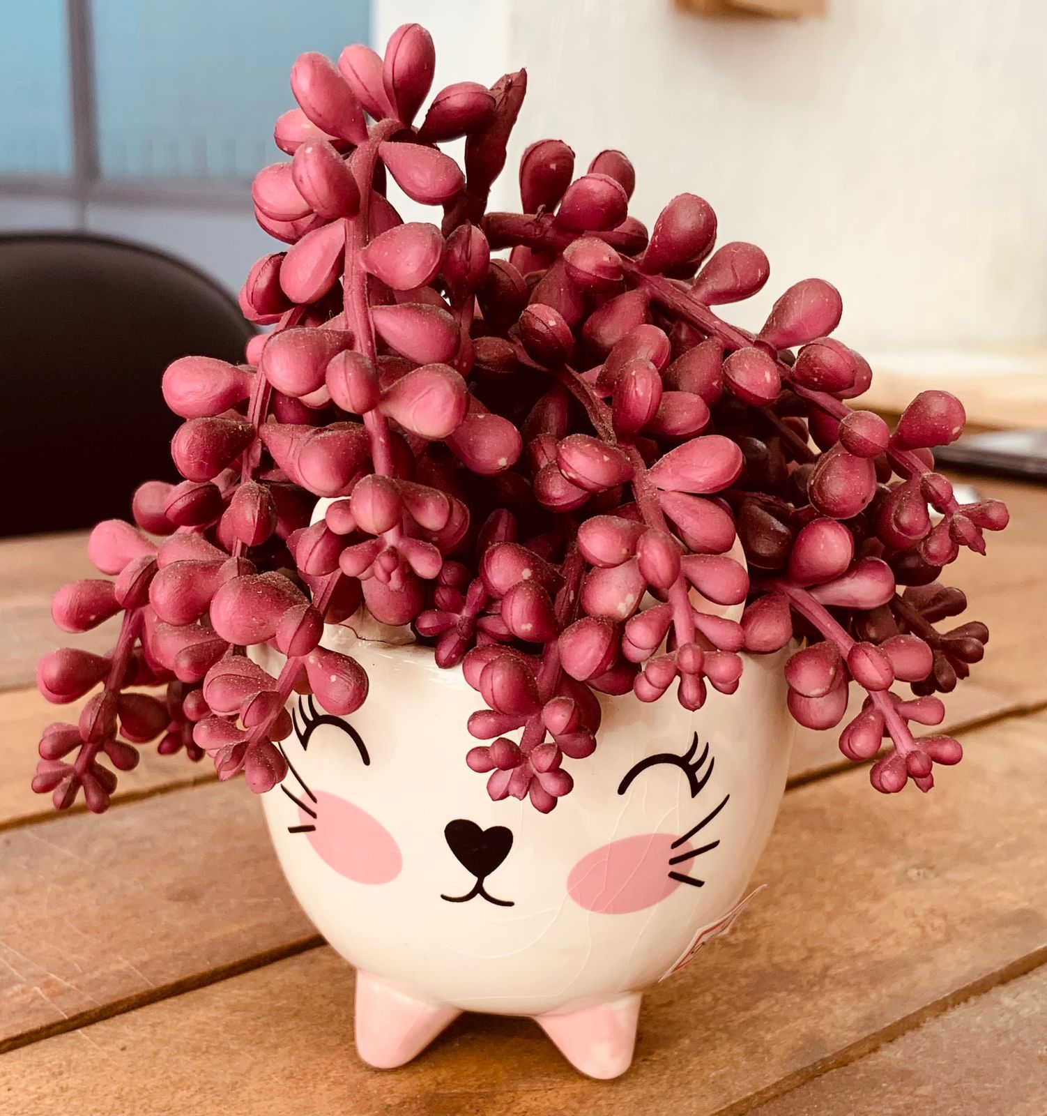 ARRANJO GATINHA SUCULENTAS CABELO