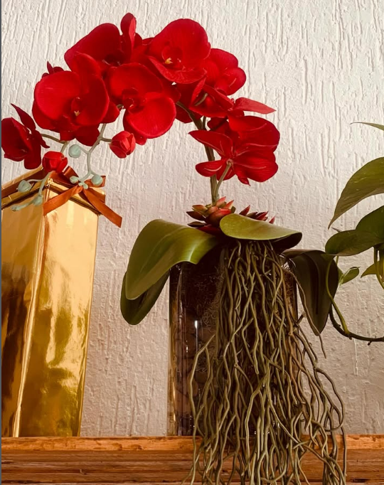 ARRANJO ORQUIDEAS