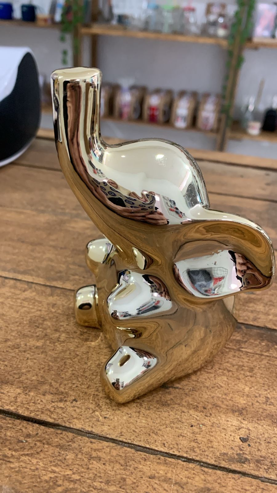 ELEFANTE DOURADO